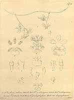  no thumbnail available