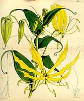  no thumbnail available