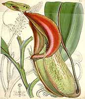  no thumbnail available