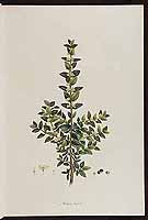  no thumbnail available