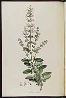  no thumbnail available