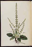  no thumbnail available