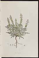  no thumbnail available