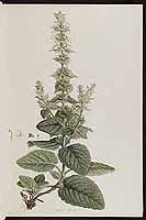  no thumbnail available