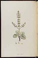  no thumbnail available