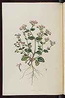  no thumbnail available