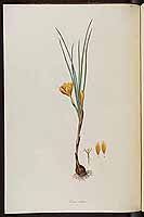  no thumbnail available