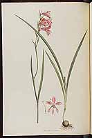  no thumbnail available