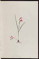  no thumbnail available