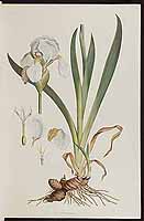  no thumbnail available