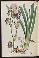  no thumbnail available