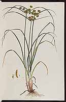  no thumbnail available