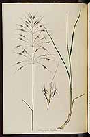  no thumbnail available