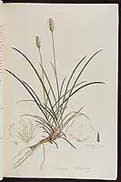  no thumbnail available