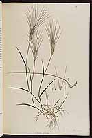  no thumbnail available