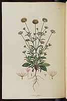  no thumbnail available