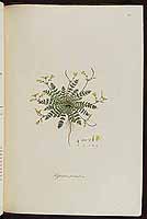  no thumbnail available