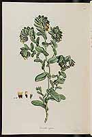  no thumbnail available