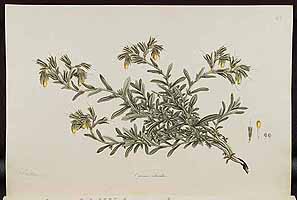  no thumbnail available