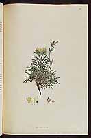  no thumbnail available