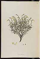  no thumbnail available