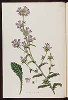  no thumbnail available