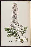  no thumbnail available