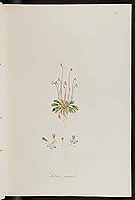  no thumbnail available