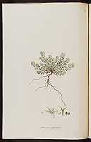  no thumbnail available