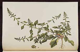  no thumbnail available