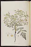  no thumbnail available