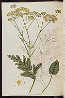  no thumbnail available