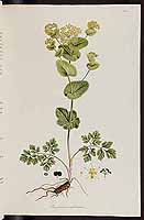  no thumbnail available