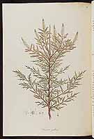  no thumbnail available