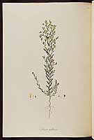  no thumbnail available