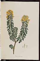  no thumbnail available