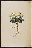  no thumbnail available