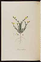  no thumbnail available