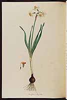  no thumbnail available