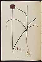  no thumbnail available