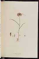  no thumbnail available