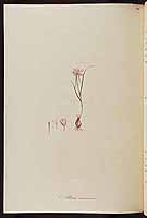  no thumbnail available