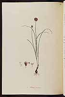  no thumbnail available