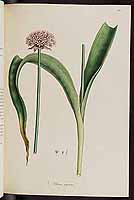  no thumbnail available