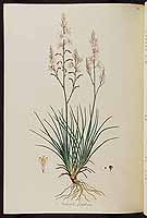  no thumbnail available