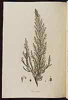  no thumbnail available