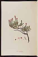  no thumbnail available