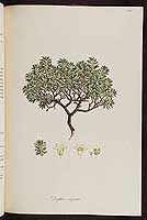  no thumbnail available