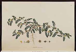  no thumbnail available