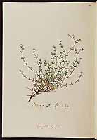  no thumbnail available